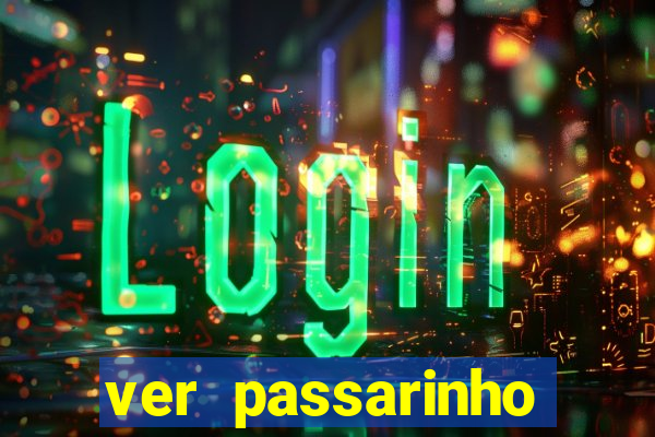 ver passarinho morto significado